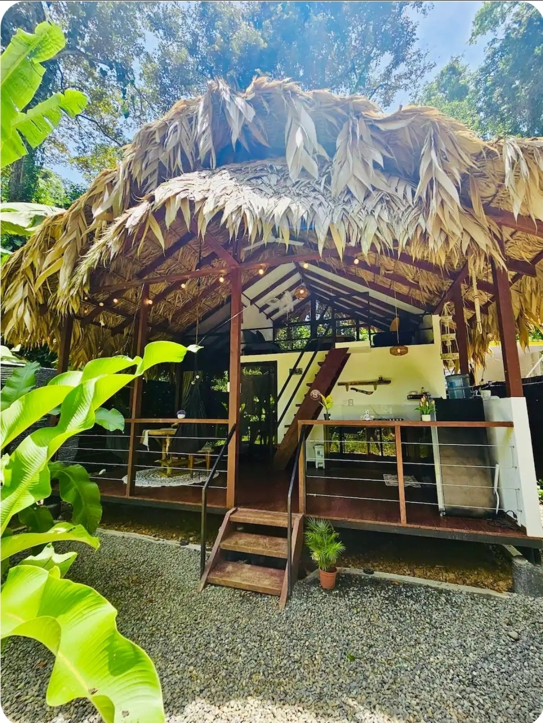 Thatched-roof casita exterior surrounded by jungle