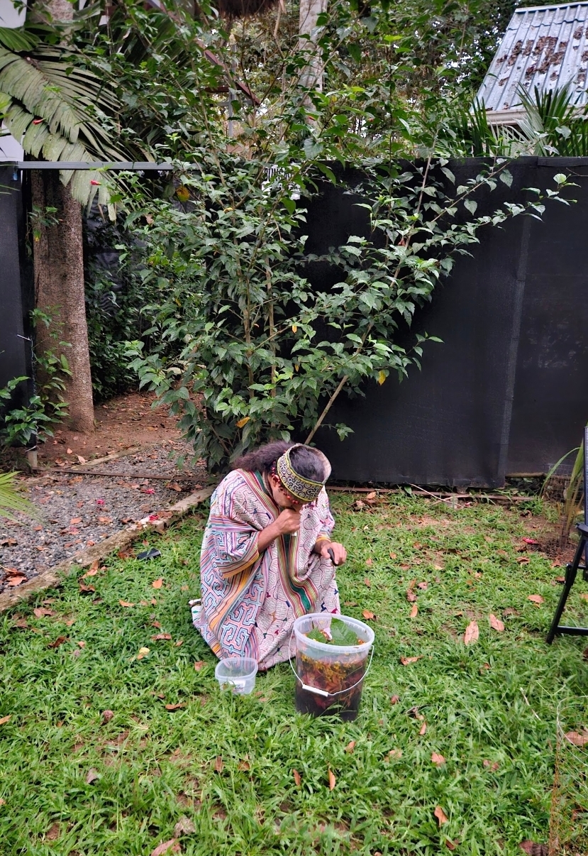 Floral bath preparation with fresh plants and water