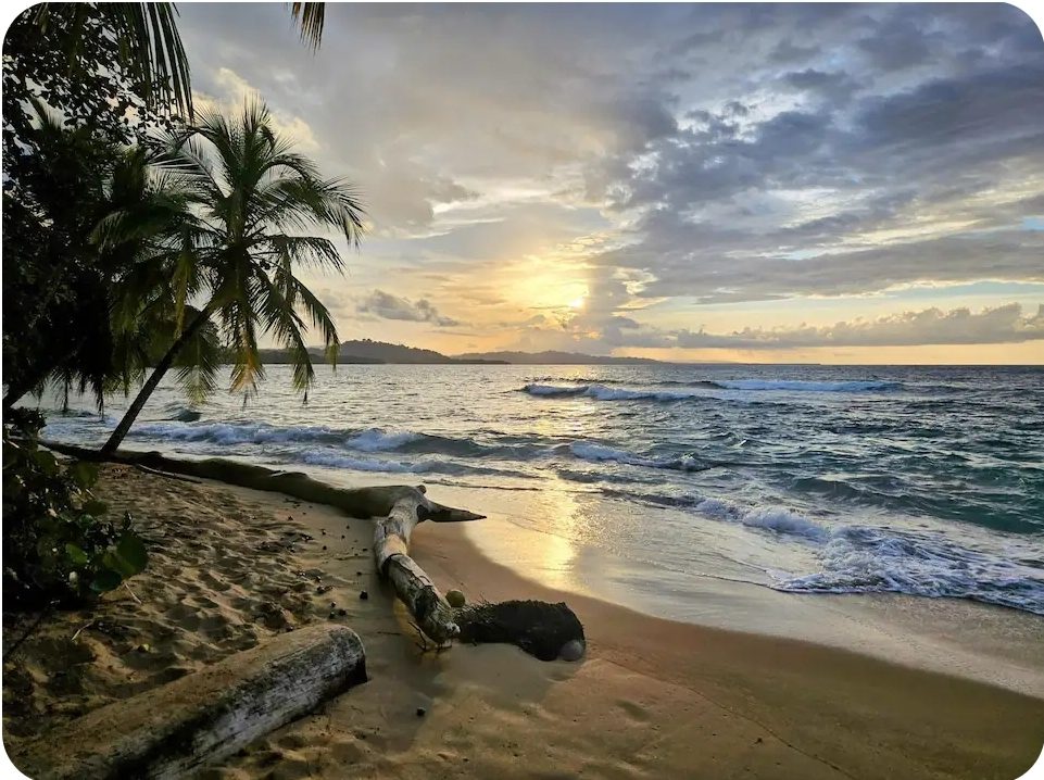 Sunset over the Caribbean Sea with palm silhouettes